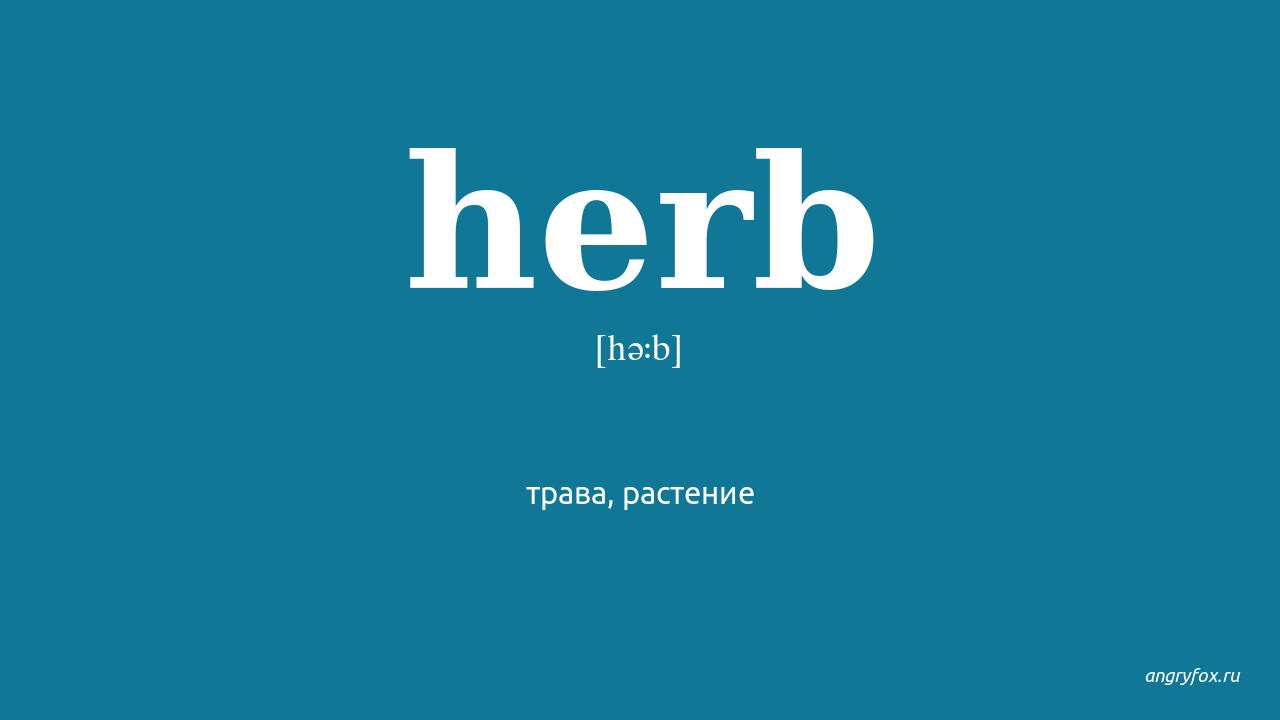 Herbs перевод. Herb перевод с английского. Herbology перевод. Херб перевод на русский.