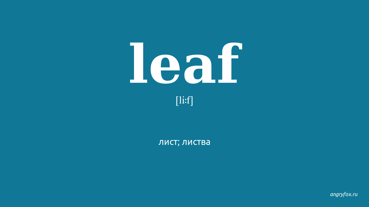 Leaves перевод на русский