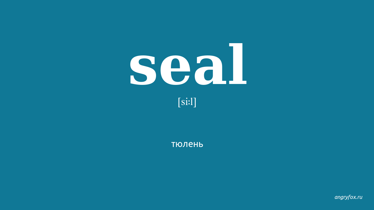 Sealing перевод на русский. Транскрипция Seal на английском. Тюлень на английском произношение. Тюлень по английскому транскрипция. Тюлень на английском с транскрипцией.