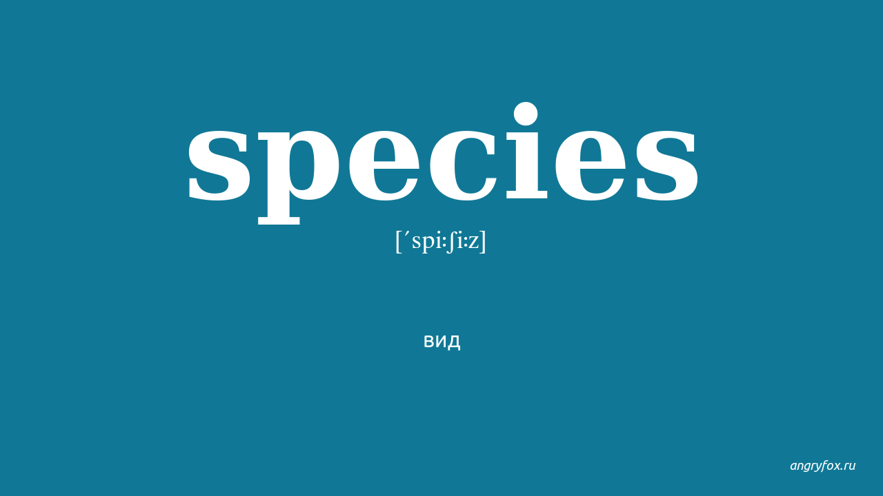 Species транскрипция. Species перевод. Species перевод с английского. Species произношение 2 варианта.